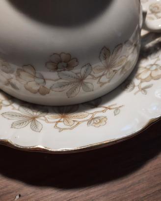 Servizio RIchard Ginori