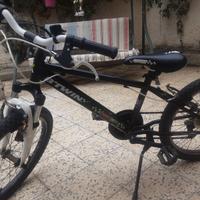 Bicicletta