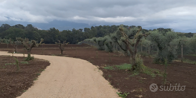 Casa rurale con terreno