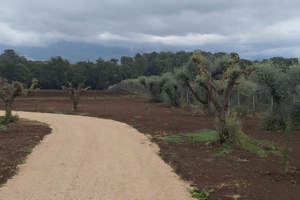 Casa rurale con terreno