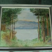 Quadro alberi con vista lago