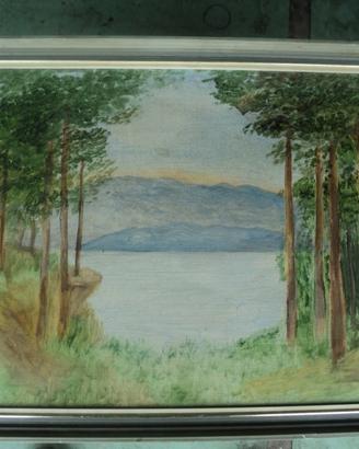Quadro alberi con vista lago