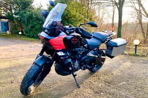 Harley Davidson Pan America standard 2021