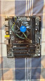 Mobo scheda madre Asrock h87m + Intel i5 4440