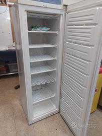 Frigo congelatore verticale 