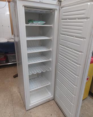 Frigo congelatore verticale 