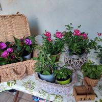 set di cesti in vimini portavasi