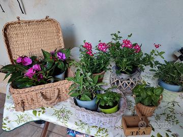 set di cesti in vimini portavasi