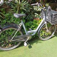 Vera Bici olandese Batavus Personal Bike Unisex