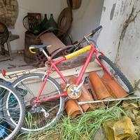 biciclette
