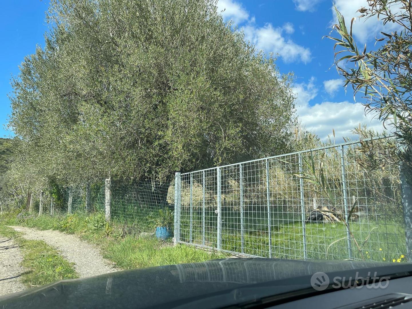 Terreno agricolo circa 200mq recintato - Vista 5