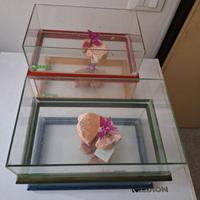 vaschette  per tartarughe nuove