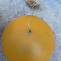 Lampadario arancione
