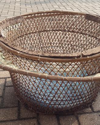 palamito per pesca mare