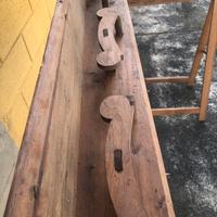 Attacapanni cappelliera