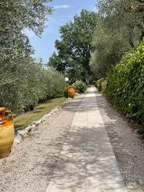 Appartamento con giardino