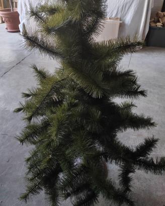 Albero di natale