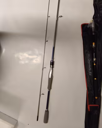 Canne da pesca 