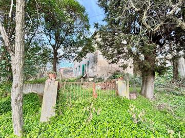 CASA INDIPENDENTE A CAPRAIA E LIMITE