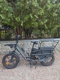 Bici elettrica Cargo Longtail 