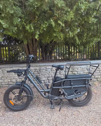 Bici elettrica Cargo Longtail 