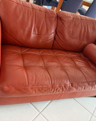 Divano NATUZZI in vera pelle - 2 posti