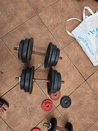 coppia manubri pesi totale 35 kg