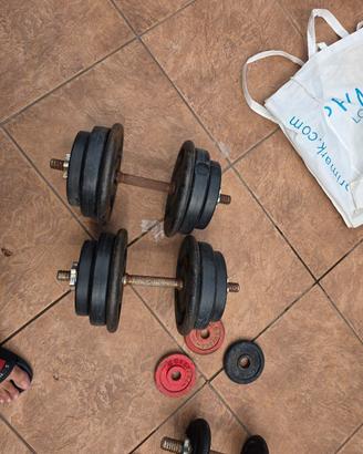 coppia manubri pesi totale 35 kg