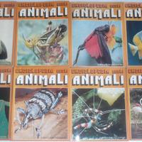 Enciclopedia degli animali Alberto Peruzzo Editore