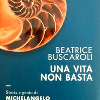 Una vita non basta Michelangelo