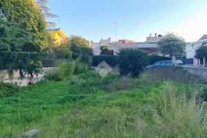 TERRENO A CONVERSANO