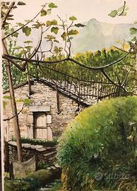 Chignero Alture Collinari