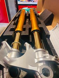 Forcelle holins fgrt nuove..per panigale v4