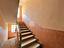 Immagine 19