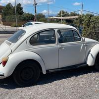 Volkswagen Maggiolino