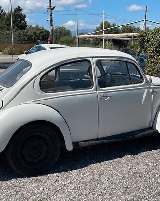 Volkswagen Maggiolino