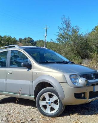 Fiat Panda Cross 4x4 - 1.3 Multijet 70 CV - 2006