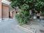 Immagine 25