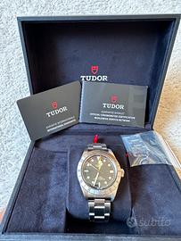 Tudor black bay pro