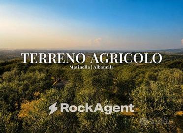 Terreno di 15000 m² a Albanella