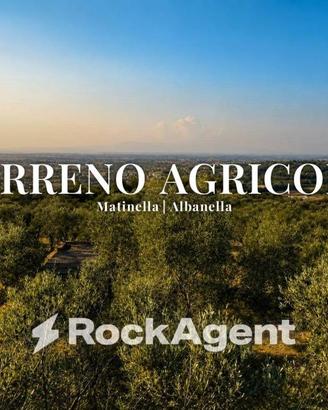 Terreno di 15000 m² a Albanella