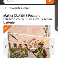 potatore telescopico