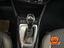 Immagine 15
