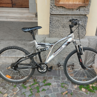 Bicicletta mountain bike