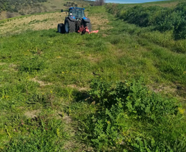 Terreno agricolo in zona Selvotta