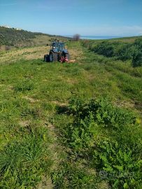 Terreno agricolo in zona Selvotta