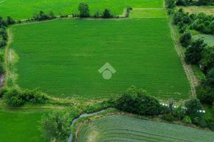 TER. AGRICOLO A MELZO