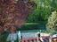 Immagine 30