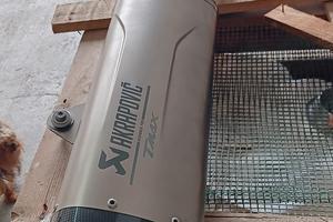 Marmitta arkapovich per t max