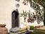 Immagine 10